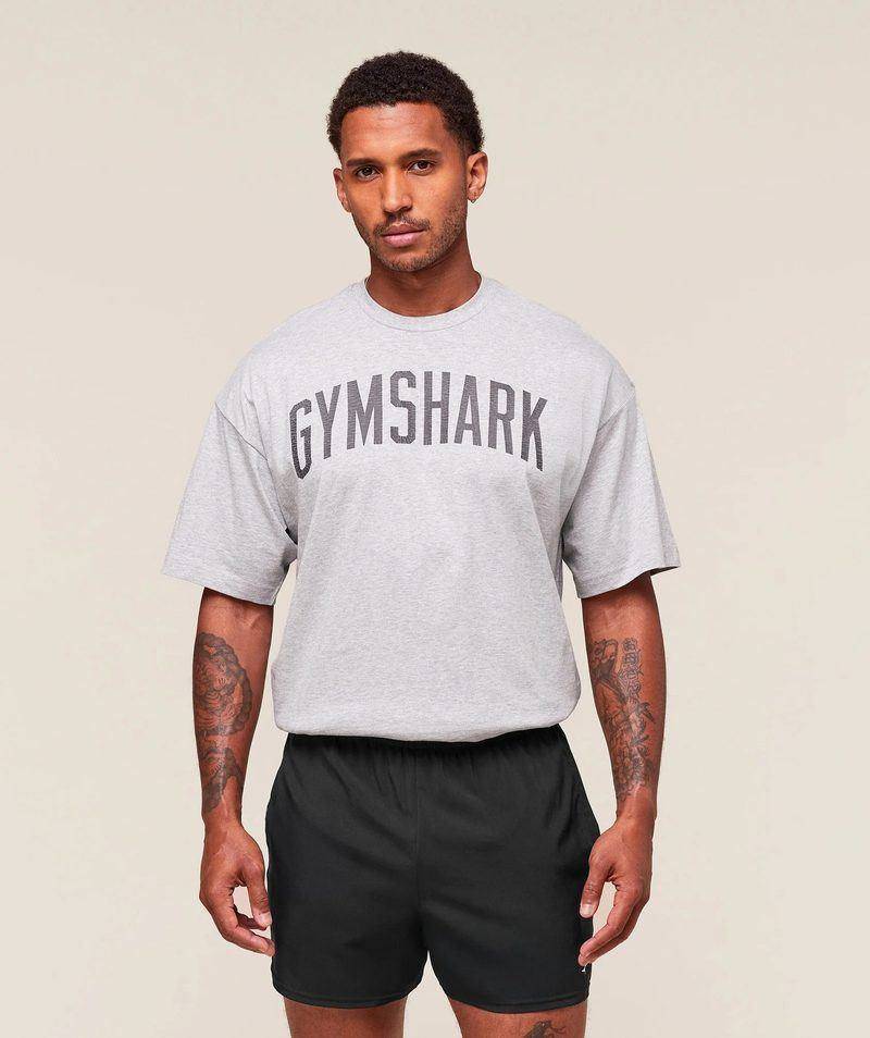 Worn Graphic Tshirt Oversize Grey Gymshark