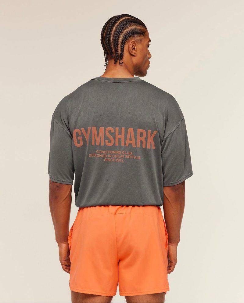 Conditioning Club Washed T-Shirt Washed Grey / Orange Gymshark