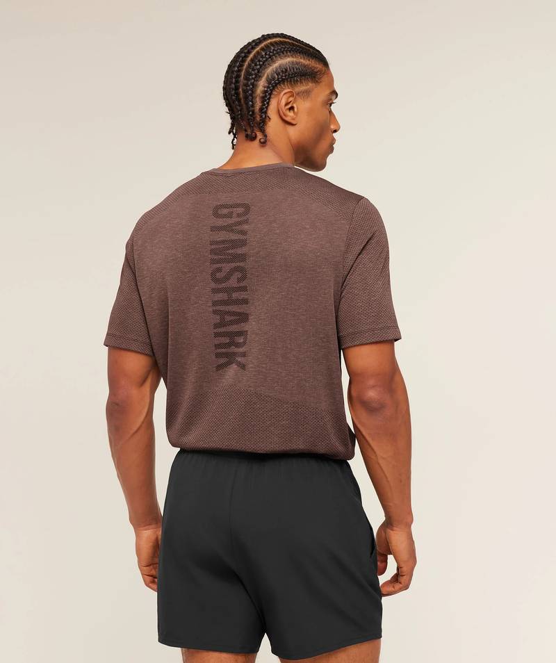 Lightweight Seamless T-Shirt Brown Gymshark