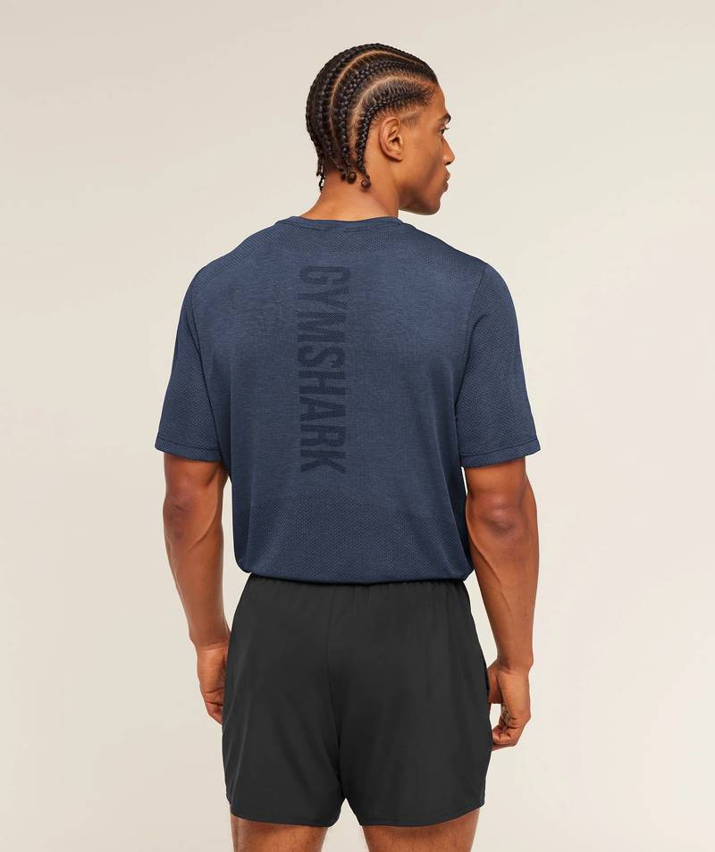 Lightweight Seamless T-Shirt Blue Gymshark