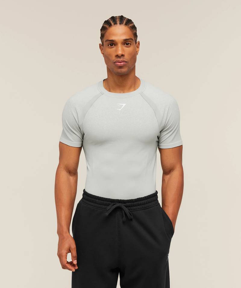 Shadow Seamless Tshirt Grey Gymshark