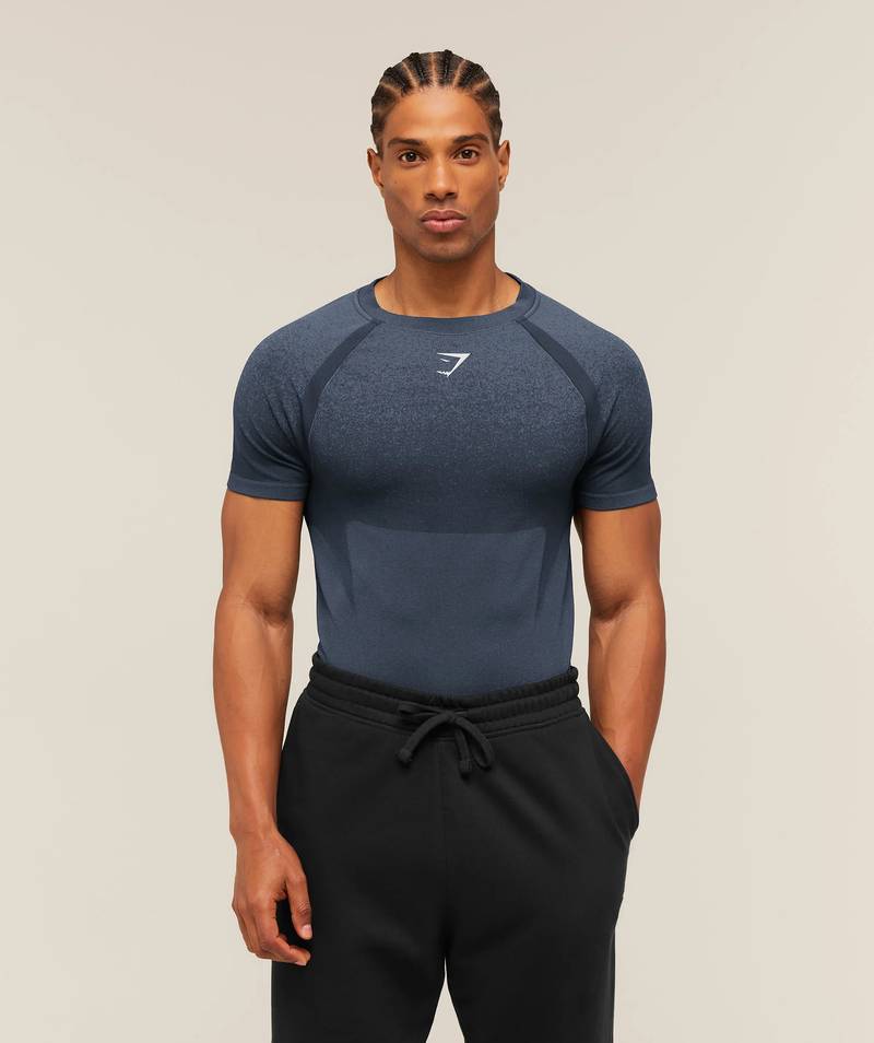 Shadow Seamless Tshirt Heavy Blue Gymshark