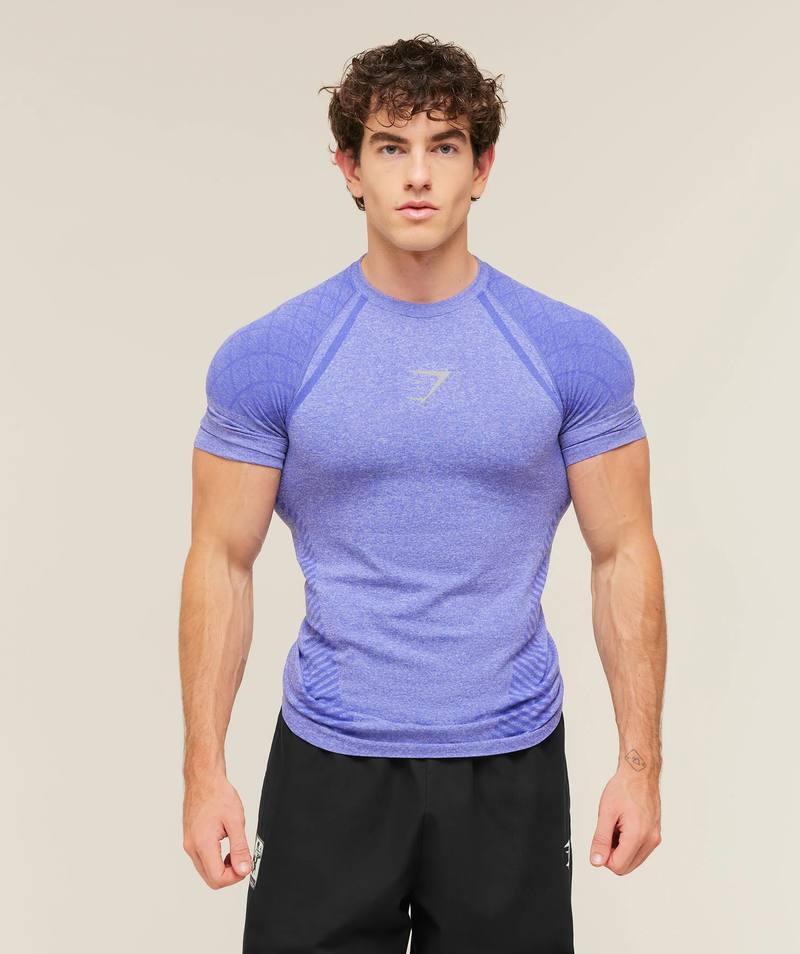 Devant Seamless T-Shirt Amethist Gymshark
